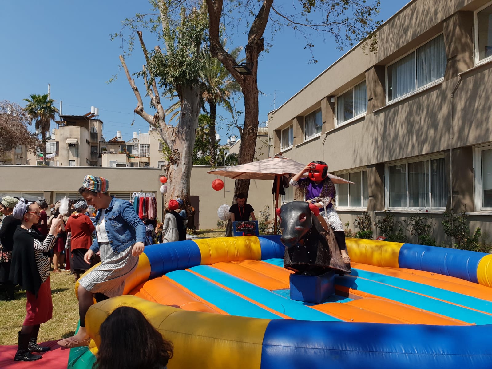 השור הזועם